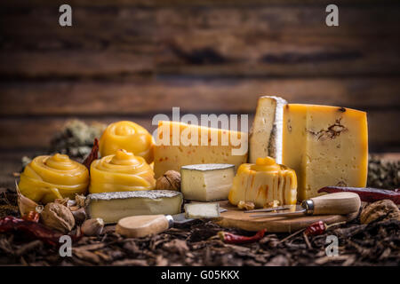 Divers types de fromages artisanaux Banque D'Images