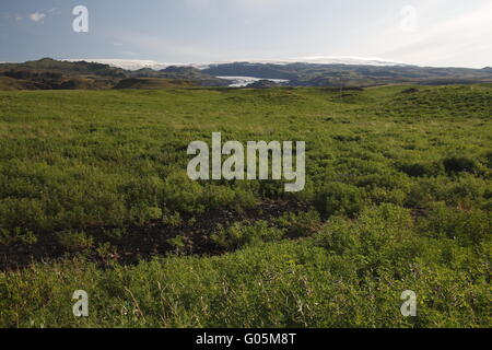 La calotte glaciaire de Mýrdalsjökull - est le quatrième plus grand glacier en Islande qui couvre la zone d'environ 600 km2 Mýrdalshreppur mun Banque D'Images