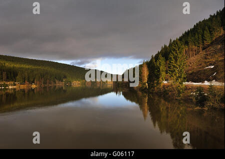 Paysage brumeux dans Okertalsperre,Harz, Allemagne Banque D'Images