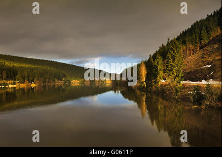 Paysage brumeux dans Okertalsperre,Harz, Allemagne Banque D'Images