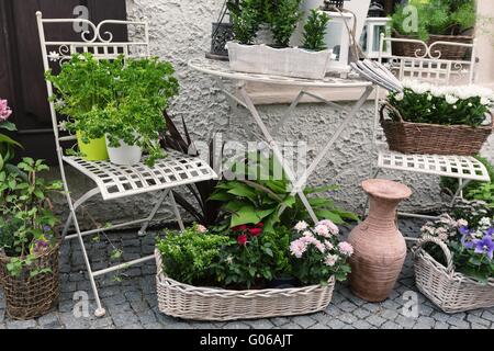 Sélection de la feuille d'herbe dans un panier en bois rustique, y compris Banque D'Images