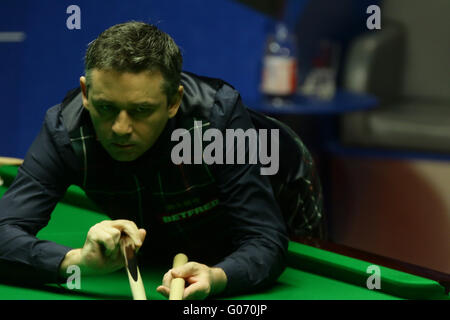 Sheffield, Royaume-Uni. 29 avril, 2016. Alan McManus en action contre Ding Junhui dans la deuxième session des 33 meilleures images à la demi-finale aux Championnats du monde de snooker 2016 à Sheffield. Credit : Action Plus Sport Images/Alamy Live News Banque D'Images