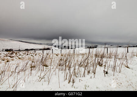 Cragg Vale, West Yorkshire, Royaume-Uni. 29 avril, 2016. La neige recouvre les champs et les collines dans les landes au-dessus de Cragg Vale West Yorkshire. Credit : Graham Hardy/Alamy Live News Banque D'Images