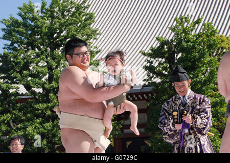 Tokyo, Japon. 29 avril, 2016. Bébé qui pleure le Sumo, Naki-Zumo événement a eu lieu au temple Sensoji à Asakusa, où est l'un des plus populaires spot touristique historique à Tokyo. Les étudiants appartenant à l'club de Sumo essayer de faire des bébés pleurer. Le bébé bawls première est le gagnant. Plus de 100 bébés ont rejoint l'événement. Il est censé apporter les bébés en bonne santé. Credit : Miyoko Fukushima/Alamy Live News Banque D'Images