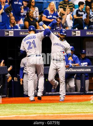 Saint Petersburg, Florida, USA. Apr 29, 2016. Vous VRAGOVIC | fois.le voltigeur des Blue Jays de Toronto Michael Saunders (21) célèbre son 8ème manche home run avec les Blue Jays de Toronto Jose Bautista voltigeur de droite (19) pendant le jeu entre les Rays de Tampa Bay et les Blue Jays de Toronto au Tropicana Field à Saint-Pétersbourg, en Floride, le vendredi, 29 avril, 2016. Credit : Vragovic/Tampa Bay Times/ZUMA/Alamy Fil Live News Banque D'Images