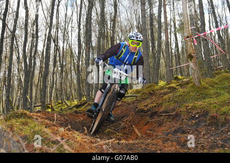 Concurrent au vélo de montagne VTT enduro de Dunkeld, Dunkeld Événement 2016 Banque D'Images