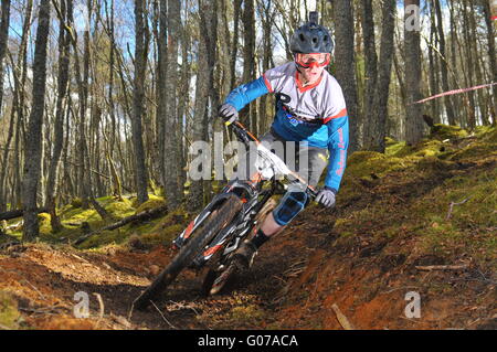 Concurrent au vélo de montagne VTT enduro de Dunkeld, Dunkeld Événement 2016 Banque D'Images