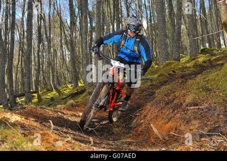 Concurrent au vélo de montagne VTT enduro de Dunkeld, Dunkeld Événement 2016 Banque D'Images
