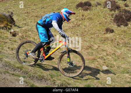 Concurrent au vélo de montagne VTT enduro de Dunkeld, Dunkeld Événement 2016 Banque D'Images