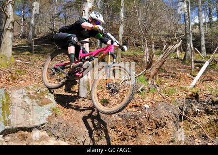 Concurrent au vélo de montagne VTT enduro de Dunkeld, Dunkeld Événement 2016 Banque D'Images