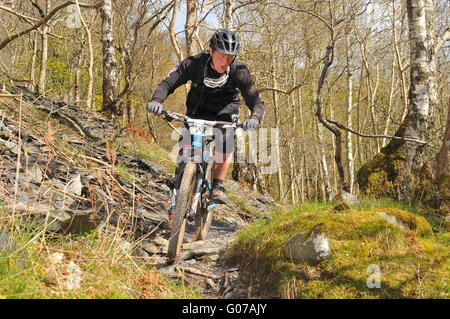 Concurrent au vélo de montagne VTT enduro de Dunkeld, Dunkeld Événement 2016 Banque D'Images