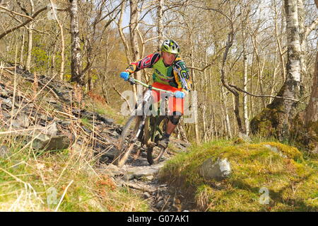 Concurrent au vélo de montagne VTT enduro de Dunkeld, Dunkeld Événement 2016 Banque D'Images