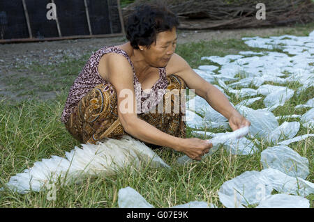 Femme khmère la diffusion de documents de riz pour rouleaux de printemps Banque D'Images