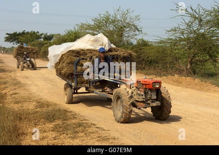 Tracteur transportant la paille de riz en vrac on rural road Banque D'Images