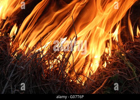 Corps d'attiser la flamme dans la forêt Banque D'Images