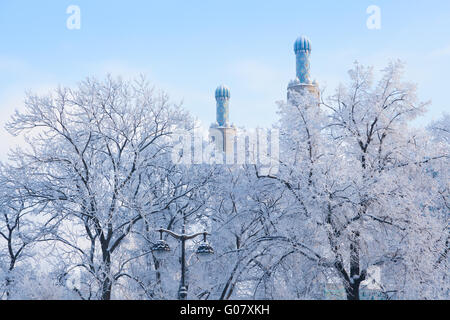 Les minarets à St.-Petersburg contre les arbres d'hiver Banque D'Images