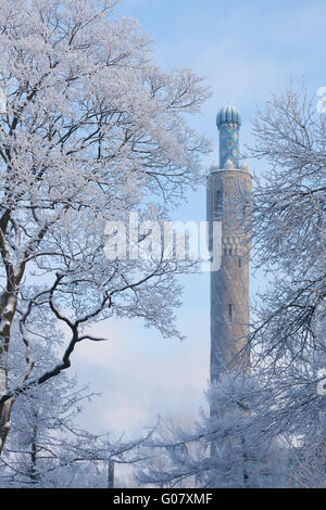 Les minarets à St.-Petersburg contre les arbres d'hiver Banque D'Images