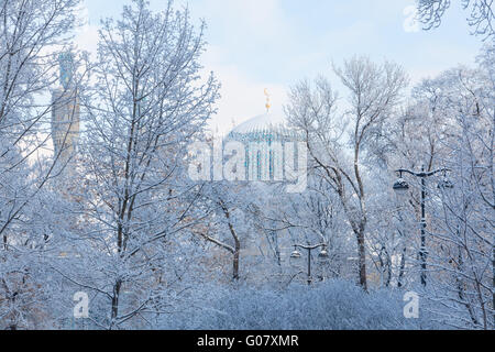 Les minarets à St.-Petersburg contre les arbres d'hiver Banque D'Images