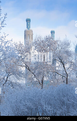 Les minarets à St.-Petersburg contre les arbres d'hiver Banque D'Images