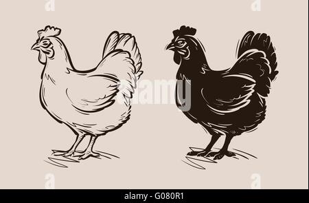 Logo vector poulet ferme., volailles, oiseaux, poule icon Illustration de Vecteur