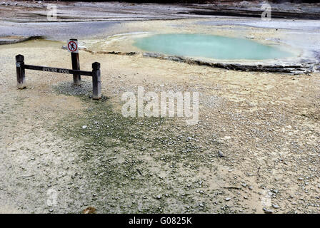 La piscine de l'huître à Wai-o-Tapu parc géothermique près de Taupo, Nouvelle-Zélande Banque D'Images