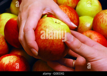 De Main En Main Apple Banque D'Images