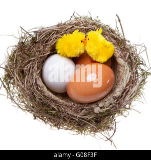 Birds Nest avec des œufs et des poulets à l'intérieur de jouets Banque D'Images