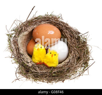 Birds Nest avec des œufs et des poulets à l'intérieur, jouet Banque D'Images