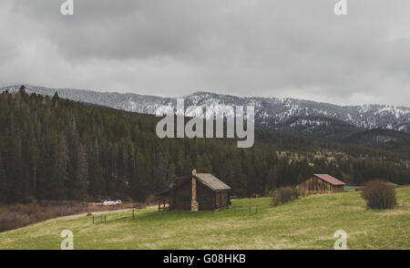 Beau chalet en bois dans une forêt du Montana avec montagnes en arrière-plan. Banque D'Images