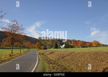 Cerisiers en automne, route de campagne en Allemagne Banque D'Images