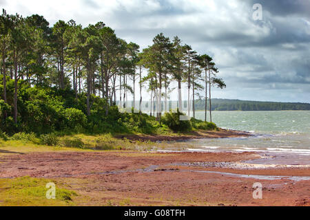 Mare-aux-Vacoas- le plus grand réservoir d'eau de Ma Banque D'Images