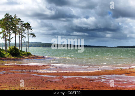 Mare-aux-Vacoas, le plus grand réservoir d'eau de Mau Banque D'Images
