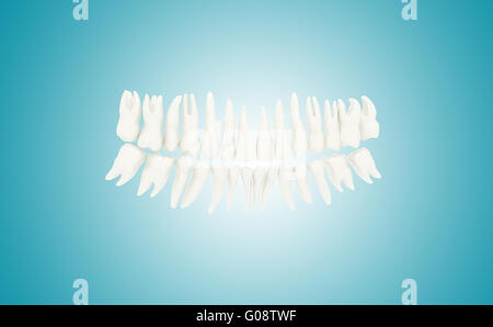 Dents humaines Banque D'Images