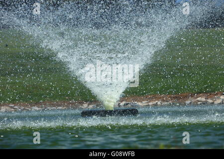Fontaine ornementale dans un étang Banque D'Images