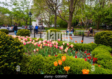 New York, NY - 29 avril 2016 - Le printemps à Washington Square Park. ©Stacy Walsh Rosenstock Banque D'Images