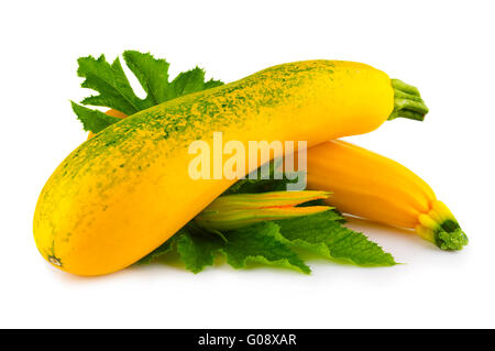 Moelle jaune avec des fleurs et des légumes feuilles isolées Banque D'Images