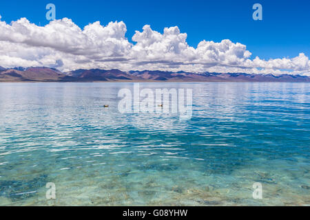 Vue imprenable sur le Lac Namtso et Nyenchen Tanglha montagnes dans le Tibet, la Chine. Banque D'Images