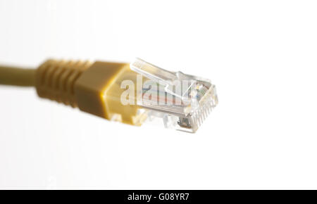 Câble réseau jaune avec connecteur RJ45 sur blanc Banque D'Images