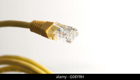Câble réseau jaune avec connecteur RJ45 sur blanc Banque D'Images