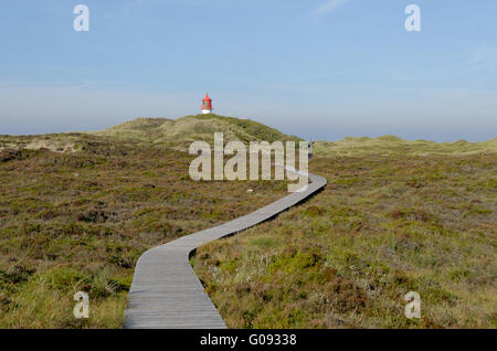 Dunes sur l'Île Amrum avec Lighthouse Banque D'Images