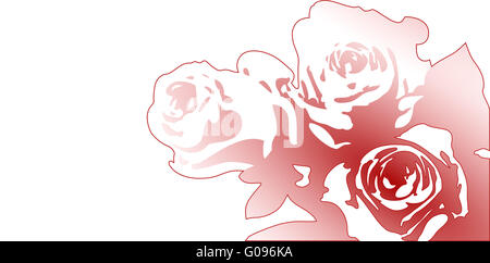 Roses rouges sur fond blanc - illustration Banque D'Images