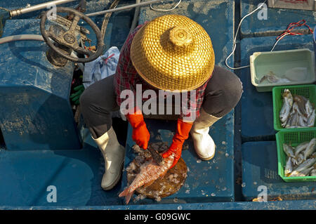 Vendeur de poisson avec une paillote éventrer un poisson Banque D'Images