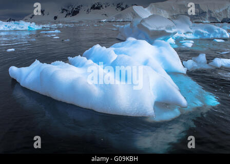 L'écoulement glaciaire, Paradise Bay, l'Antarctique Banque D'Images