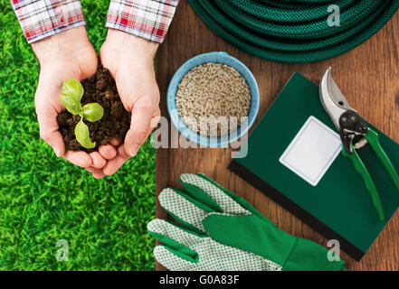 Farmer's hands holding a germer basilic frais avec de la terre et des outils de travail sur l'arrière-plan Banque D'Images