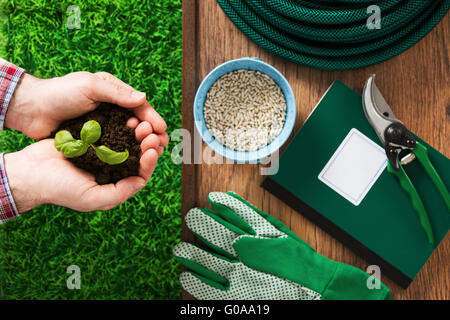 Farmer's hands holding a germer basilic frais avec de la terre et des outils de travail sur l'arrière-plan Banque D'Images