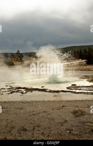 WY01593-00...WYOMING - Sawmill Geyser Geyser Basin dans le coin supérieur du Parc National de Yellowstone. Banque D'Images