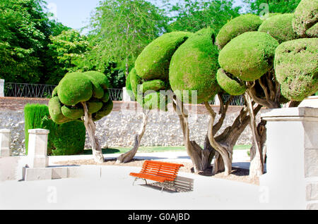 Arbres et audience à parc de la retraite agréable à Madrid Banque D'Images