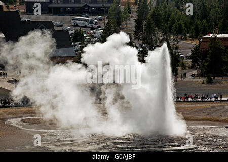 WY01597-00...WYOMING - Old Faithful Geyser de point d'observation dans la partie supérieure du bassin du geyser de Parc National de Yellowstone. Banque D'Images