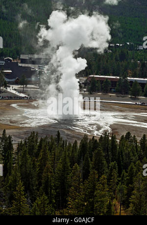 WY01600-00...WYOMING - Old Faithful Geyser de point d'observation dans la partie supérieure du bassin du geyser de Parc National de Yellowstone. Banque D'Images