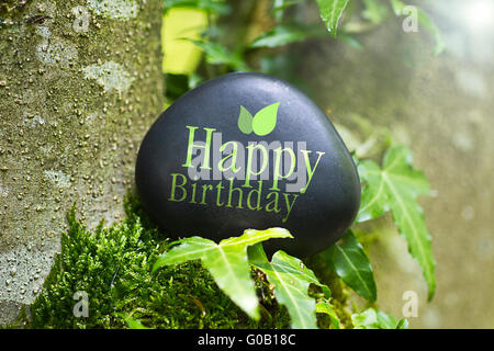 Le Mot Joyeux Anniversaire Sur Une Pierre Dans La Nature Photo Stock Alamy